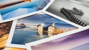 5 Best Printers for Art Prints in 2022